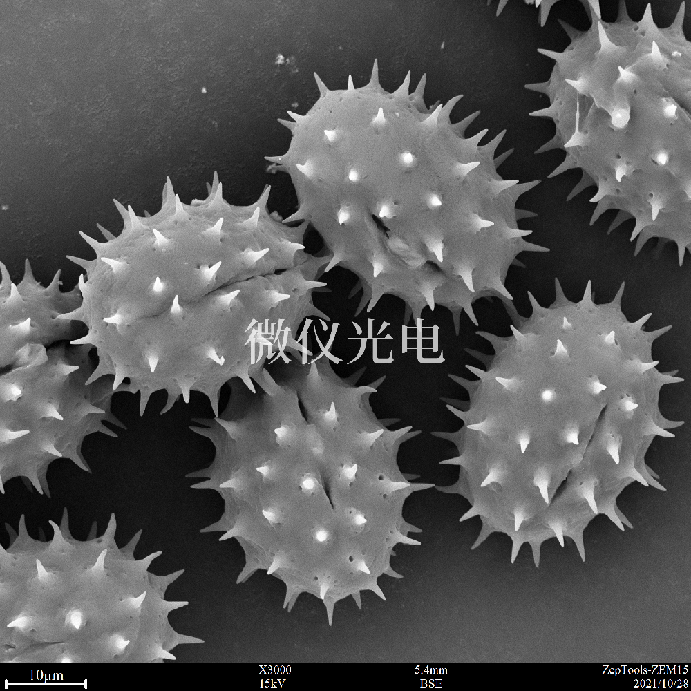 sem掃描電鏡的原理、組成、基本參數(shù)和應(yīng)用的介紹